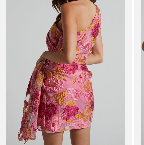 🆕️ Reverse Organza Printed Dress - Picture 2 of 4